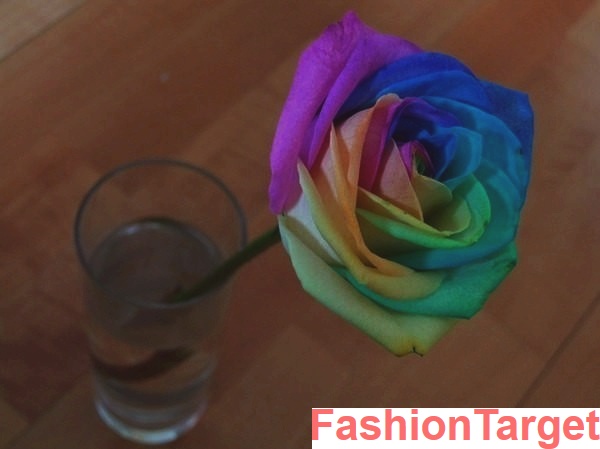 Своими руками: Секрет разноцветных роз (розы, Своими руками, diy, Как, мк)