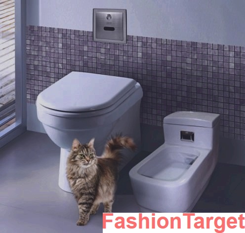 Автоматический туалет для кошек (домашние животные, кошки, питомцы, туалет, Все остальное, Интерьер, Покупки через интернет)