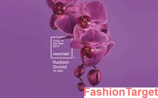 Модный цвет 2017 года. Сеты «Сияющая орхидея» (Новый тренд, тренд, оттенок 2017, Модный цвет 2017, Сияющая орхидея, Сеты, pantone, Тренды, Уличная мода)